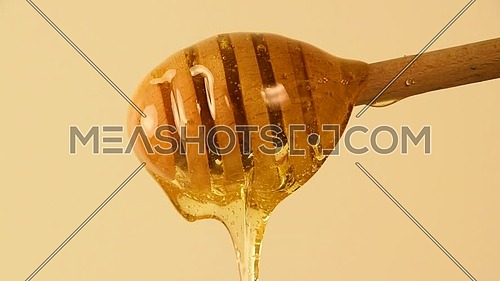 Close up fresh thick fluid acacia honey pouring and flowing from wooden dipper spoon over beige background with copy space, low angle side view, slow