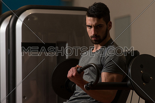 Young Muscular Fitness Bodybuilder Doing Heavy Weight Exercise For Biceps On Machine In The Gym