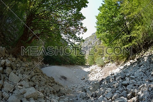 wild river dried riverbed on summer day climate change  signals
