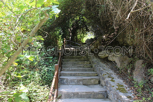 stairway between tree bushes Cyprus , the way to Aphrodite bath