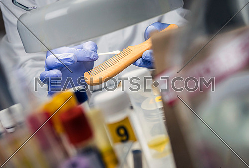 Scientist Police hold murder victim comb to find dna in crime lab, concept image