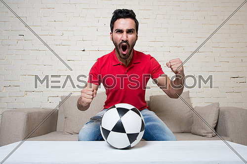 football fan watching a game with a ball