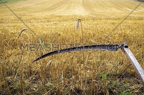 Rustic scythe in a harvested field of wheat with stalk stubble in an agricultural landscape
