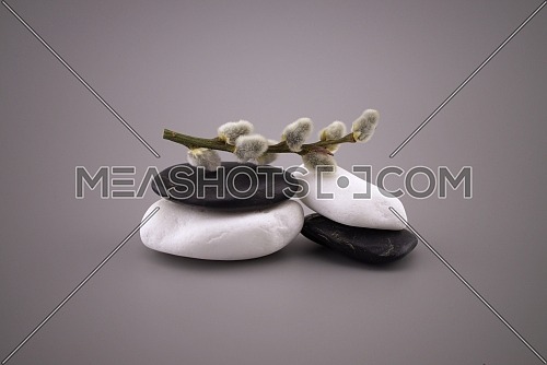 Stack of black and white stones and catkin twig, zen still life with calm shades of gray and copy space for text