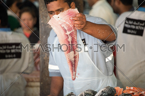 fish sales man holding a piece of fish