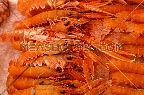 Close up fresh catch of raw red langoustines (Nephrops norvegicus, Norway lobster, Dublin Bay prawn or scampi) on ice at retail market display, high angle view