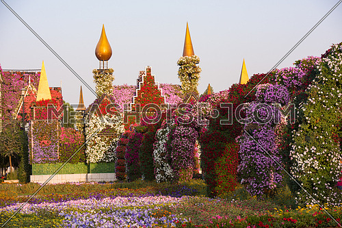 30 January 2017 Dubai miracle garden with over 45 million flowers in a sunny day