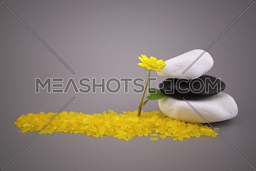 Zen still life with stacked stones, yellow spring flower and spa crystals or granules on grey with copy space and side vignette