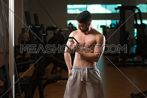 Young Muscular Fitness Bodybuilder Doing Heavy Weight Exercise For Triceps In The Gym