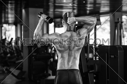 Portrait Of A Physically Fit Man Posing With Dumbbells In Modern Fitness Center Gym