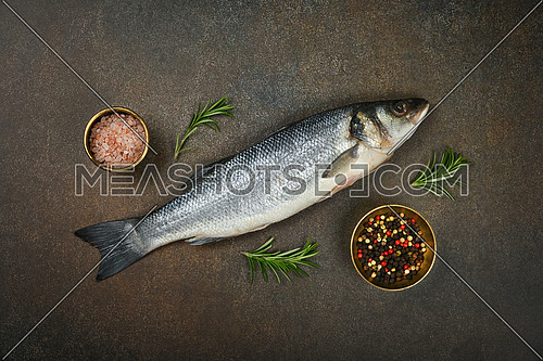 Close up one fresh raw European sea bass fish on table, with salt, peppercorns and rosemary, elevated top view, directly above