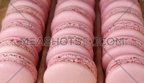 Fresh baked pink macaroon pastry cookies (macarons, macaroni) in retail store display, close up, high angle view