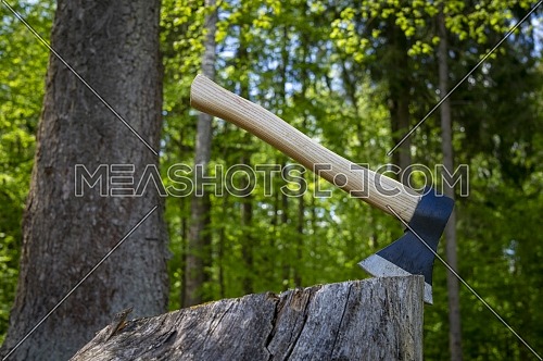 Chopper or axe standing upright in an old tree stump outdoors against a woodland background in spring