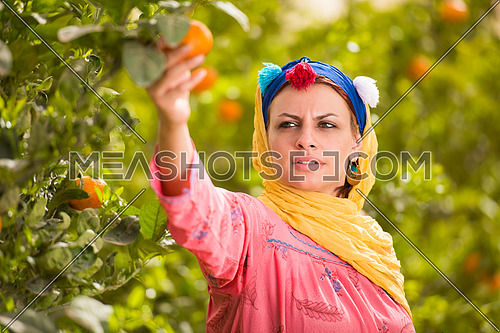Young beautiful middle eastern woman enjoys the farm orange with a smile on her face on a sunny summer day