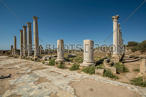 Ruins and columns of ancient Salamis city before rain on a coast of Mediterranean Sea on Cyprus island.