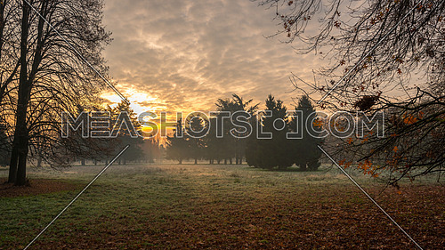 Autumnal cold morning on meadow with hoarfrost on plants and beautiful colors at sunrise,Italy near Milan.