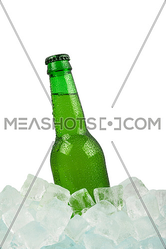 Close up one green glass bottle of cold lager beer on ice cubes at retail display isolated on white background, low angle side view