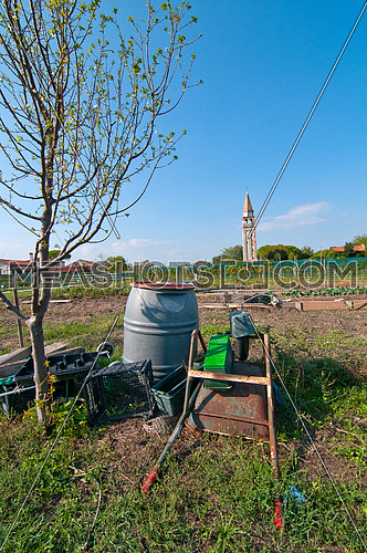 Venice Burano Mazorbo vineyard with "campanile " belltower of Saint Caterina on the background