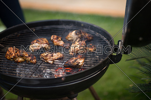 tasty chicken on the grill