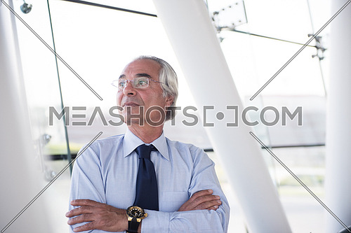 portrait of handsome senior business man at modern office conference meeting room interior