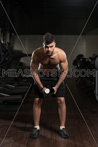 Handsome Man Is Working On His Shoulders With Dumbbells In A Modern Gym