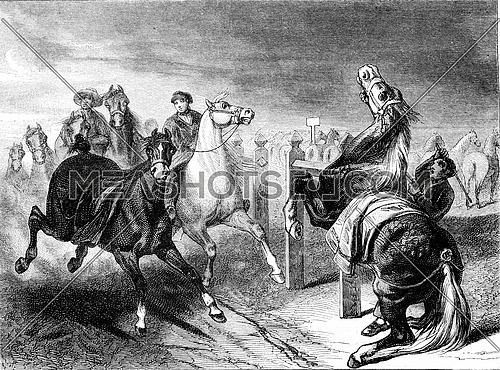 Exhibition 1852, A Scene of Marche horses, vintage engraved illustration. Magasin Pittoresque 1852.