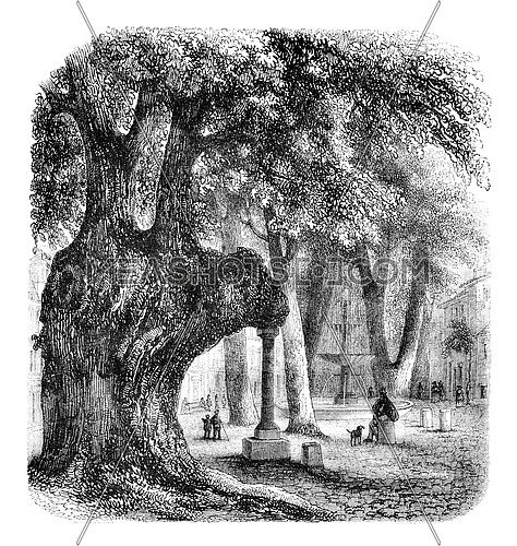 The Orme Square Caramy, Brignoles has, vintage engraved illustration. Magasin Pittoresque 1852.