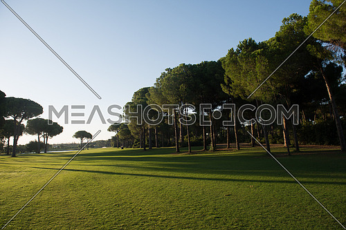 golf course landscape at beautiful fresh morning  sunrise