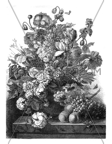 Gallery M Rothan, Flowers and Fruit by Van Dael, vintage engraved illustration. Magasin Pittoresque 1876.