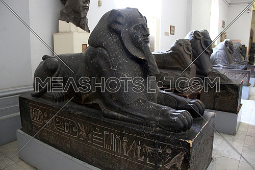 a photo from inside the Egyptian museum showing a display of monumental statues belong to ancient Egyptian history and pharaohs civilization