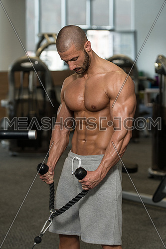 Young Bodybuilder Doing Heavy Weight Exercise For Biceps