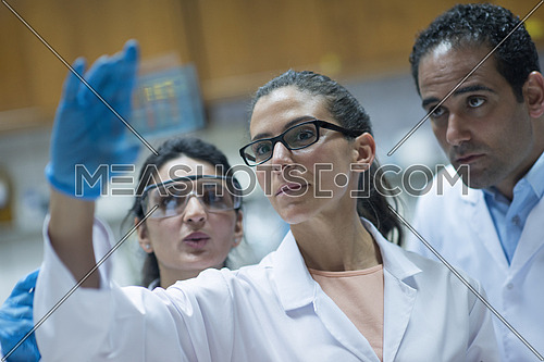 Young middle eastern people enjoy while doing research in a large modern laboratories