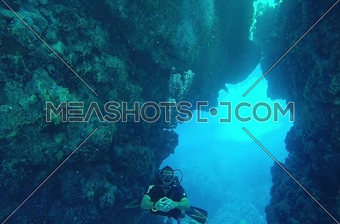 Long  shot for a scuba diver and hard coral colony underwater at The Red Sea