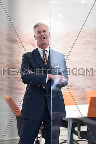 portrait of handsome senior business man at modern office meeting room interior