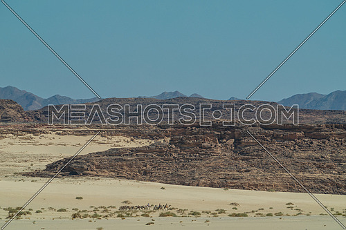Panorama shot for Ain Hodouda -Sinai at day.