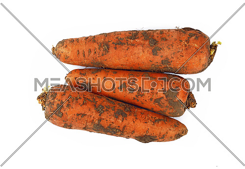 Close up of group of three big fresh dirty carrots in ground isolated on white background, elevated top view