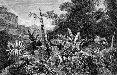 Fight between Jarochos, Remember the farm side of America, Salon of 1872 Painting, vintage engraved illustration. Magasin Pittoresque 1873.