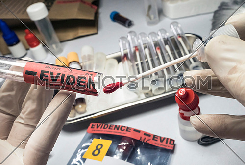 Police expert extracts traces of blood in a swab for analysis in the laboratory scientist, conceptual image