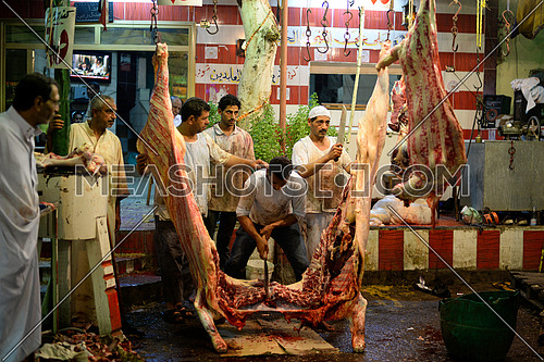 Slaughter of a cow on the occasion of  Eid Aladha in Egypt
