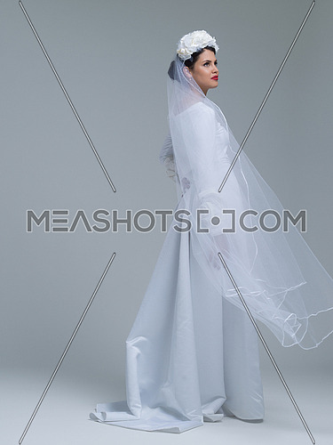 Portrait of beautiful young bride in a wedding dress with a veil isolated on a white background