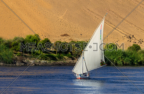 Long shot for a sailboat in the river nile in aswan at day