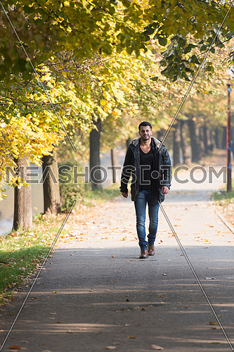 Young Man Walking In Forest Through The Woods Outside During Autumn