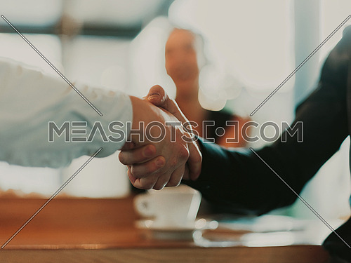 Business people or lawyers shaking hands finishing up meetings or negotiations in sunny offices. Business handshake and partnership