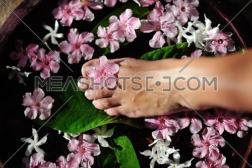 Closeup photo of a woman feet at spa salon on pedicure procedure. Legs care concept