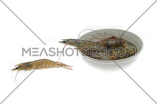 raw fresh alive shrimps on a bowl over white background