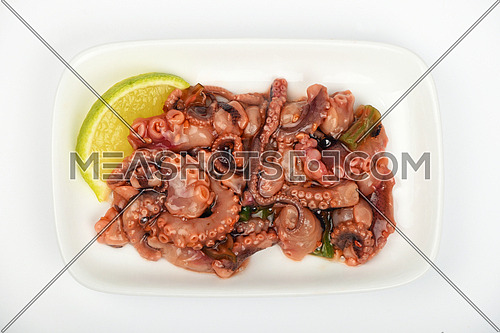 Seafood octopus cuttlefish marinated salad snack with souse on white dish plate over white background, top view