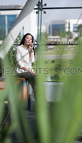 young female executive talking on the phone in a modern office