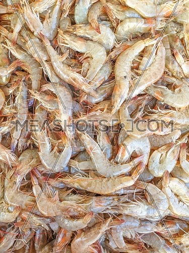 Defrost prawn on ice for sale, Fish local market stall with fresh and defrost seafood