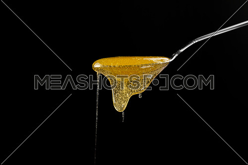Close up fresh thick fluid acacia honey pouring and flowing from metal spoon isolated on black background with copy space, low angle side view