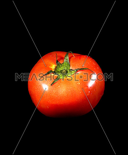 fresh vivid ripe tomato over black background